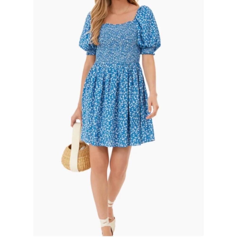 Hyacinth House Hyacinth House Blue Ditsy Floral Pai Mini Dress NWT Extra Small